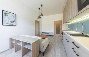 Apartment for rent, 2+kk - 1 bedroom, 49m<sup>2</sup>