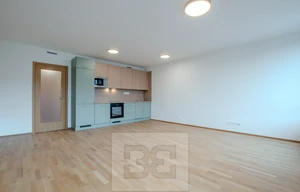 Apartment for rent, 1+KK - Studio, 42m<sup>2</sup>