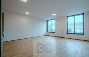 Apartment for rent, 1+KK - Studio, 42m<sup>2</sup>