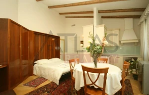 Apartment for rent, 1+KK - Studio, 38m<sup>2</sup>