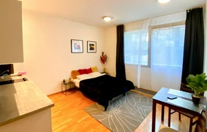 Apartment for rent, 1+KK - Studio, 30m<sup>2</sup>