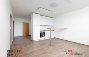 Apartment for rent, 2+kk - 1 bedroom, 55m<sup>2</sup>