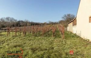 Garden for sale, 201m<sup>2</sup>