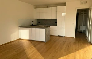 Apartment for rent, 2+kk - 1 bedroom, 54m<sup>2</sup>