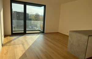 Apartment for rent, 2+kk - 1 bedroom, 54m<sup>2</sup>