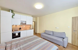 Apartment for rent, 1+KK - Studio, 30m<sup>2</sup>