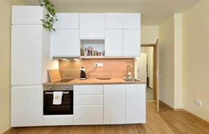 Apartment for rent, 1+KK - Studio, 30m<sup>2</sup>