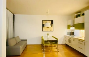 Apartment for rent, 1+KK - Studio, 67m<sup>2</sup>