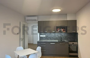 Apartment for rent, 2+kk - 1 bedroom, 54m<sup>2</sup>
