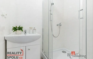 Apartment for rent, 2+kk - 1 bedroom, 54m<sup>2</sup>
