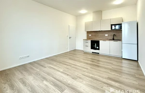 Apartment for rent, 2+kk - 1 bedroom, 47m<sup>2</sup>