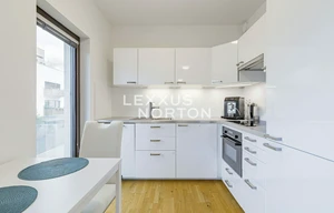 Apartment for rent, 2+kk - 1 bedroom, 55m<sup>2</sup>