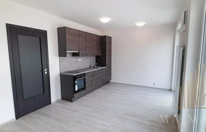 Apartment for rent, 1+KK - Studio, 33m<sup>2</sup>