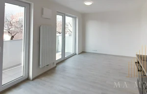 Apartment for rent, 1+KK - Studio, 33m<sup>2</sup>