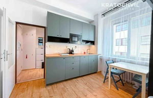 Apartment for rent, 1+KK - Studio, 22m<sup>2</sup>