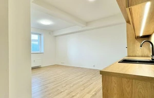 Apartment for rent, 1+KK - Studio, 31m<sup>2</sup>