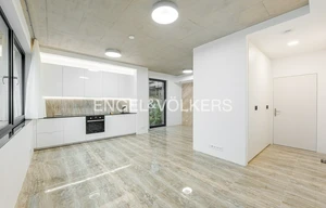 Apartment for rent, 1+KK - Studio, 43m<sup>2</sup>