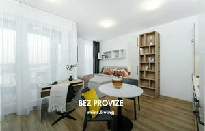 Apartment for rent, 1+KK - Studio, 30m<sup>2</sup>