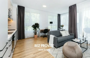 Apartment for rent, 2+kk - 1 bedroom, 58m<sup>2</sup>