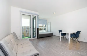 Apartment for rent, 1+KK - Studio, 38m<sup>2</sup>