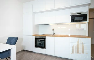 Apartment for rent, 1+KK - Studio, 38m<sup>2</sup>