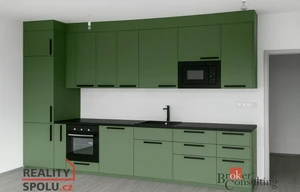 Apartment for rent, 1+KK - Studio, 49m<sup>2</sup>