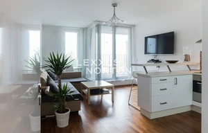 Apartment for rent, 2+kk - 1 bedroom, 56m<sup>2</sup>