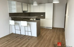 Apartment for rent, 2+kk - 1 bedroom, 53m<sup>2</sup>