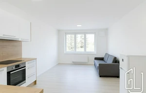 Apartment for rent, 1+KK - Studio, 34m<sup>2</sup>