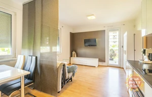 Apartment for rent, 1+KK - Studio, 67m<sup>2</sup>