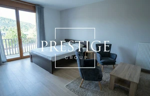 Apartment for rent, 1+KK - Studio, 45m<sup>2</sup>