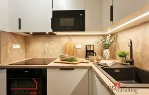 Apartment for rent, 2+kk - 1 bedroom, 56m<sup>2</sup>