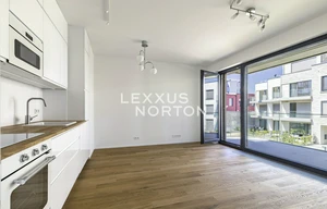 Apartment for rent, 2+kk - 1 bedroom, 48m<sup>2</sup>