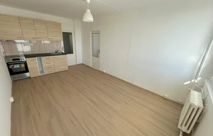 Apartment for rent, 2+kk - 1 bedroom, 48m<sup>2</sup>