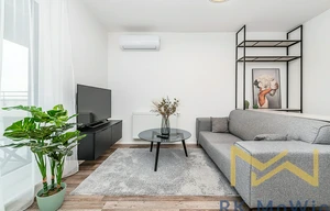 Apartment for rent, 1+KK - Studio, 39m<sup>2</sup>