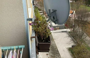 Apartment for rent, 4+1 - 3 bedrooms, 84m<sup>2</sup>