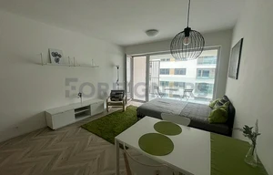 Apartment for rent, 1+KK - Studio, 39m<sup>2</sup>