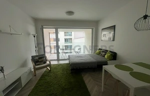 Apartment for rent, 1+KK - Studio, 39m<sup>2</sup>