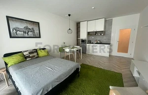 Apartment for rent, 1+KK - Studio, 39m<sup>2</sup>