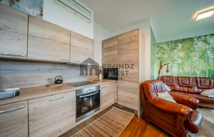 Apartment for rent, 2+kk - 1 bedroom, 75m<sup>2</sup>