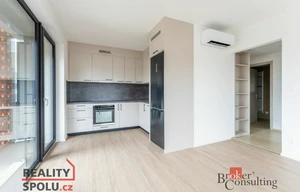 Apartment for rent, 2+kk - 1 bedroom, 77m<sup>2</sup>
