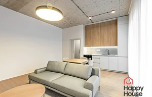 Apartment for rent, 1+KK - Studio, 46m<sup>2</sup>