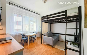 Apartment for rent, 1+KK - Studio, 24m<sup>2</sup>