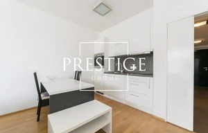 Apartment for rent, 1+KK - Studio, 48m<sup>2</sup>