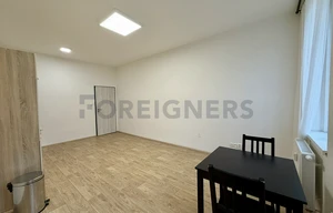 Apartment for rent, 2+kk - 1 bedroom, 56m<sup>2</sup>