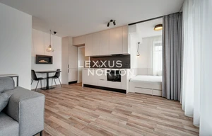 Apartment for rent, 1+KK - Studio, 39m<sup>2</sup>