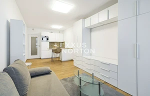 Apartment for rent, 1+KK - Studio, 34m<sup>2</sup>