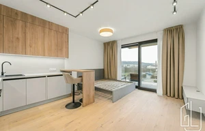 Apartment for rent, 1+KK - Studio, 29m<sup>2</sup>