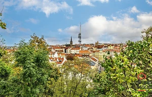 Apartment for rent, 1+KK - Studio, 46m<sup>2</sup>