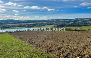 Field for sale, 197000m<sup>2</sup>